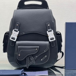 DIOR GALLOP