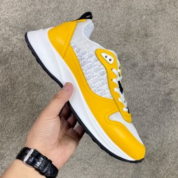 DIOR B25