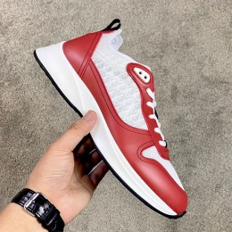 DIOR B25