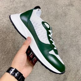 DIOR B25