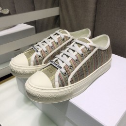 Dior 20FW