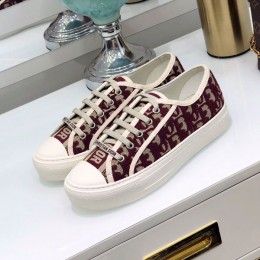 Dior 20FW