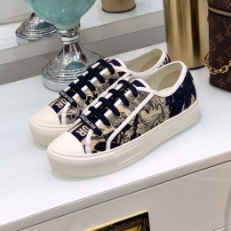 Dior 20FW