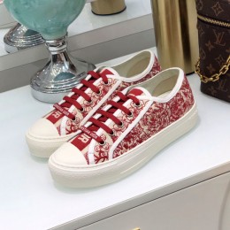 Dior 20FW