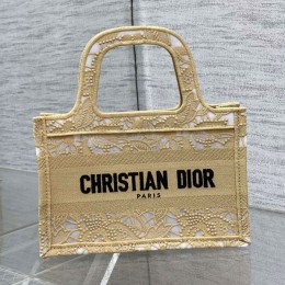 Dior mini