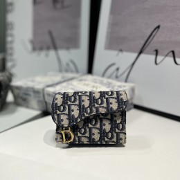 DIOR 7카라