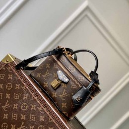 LOUIS VUITTON Vanity Chain Pouch