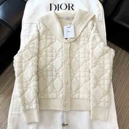 V공장 DIOR 2025SS