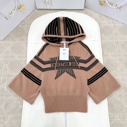 V공장 DIOR 2025SS